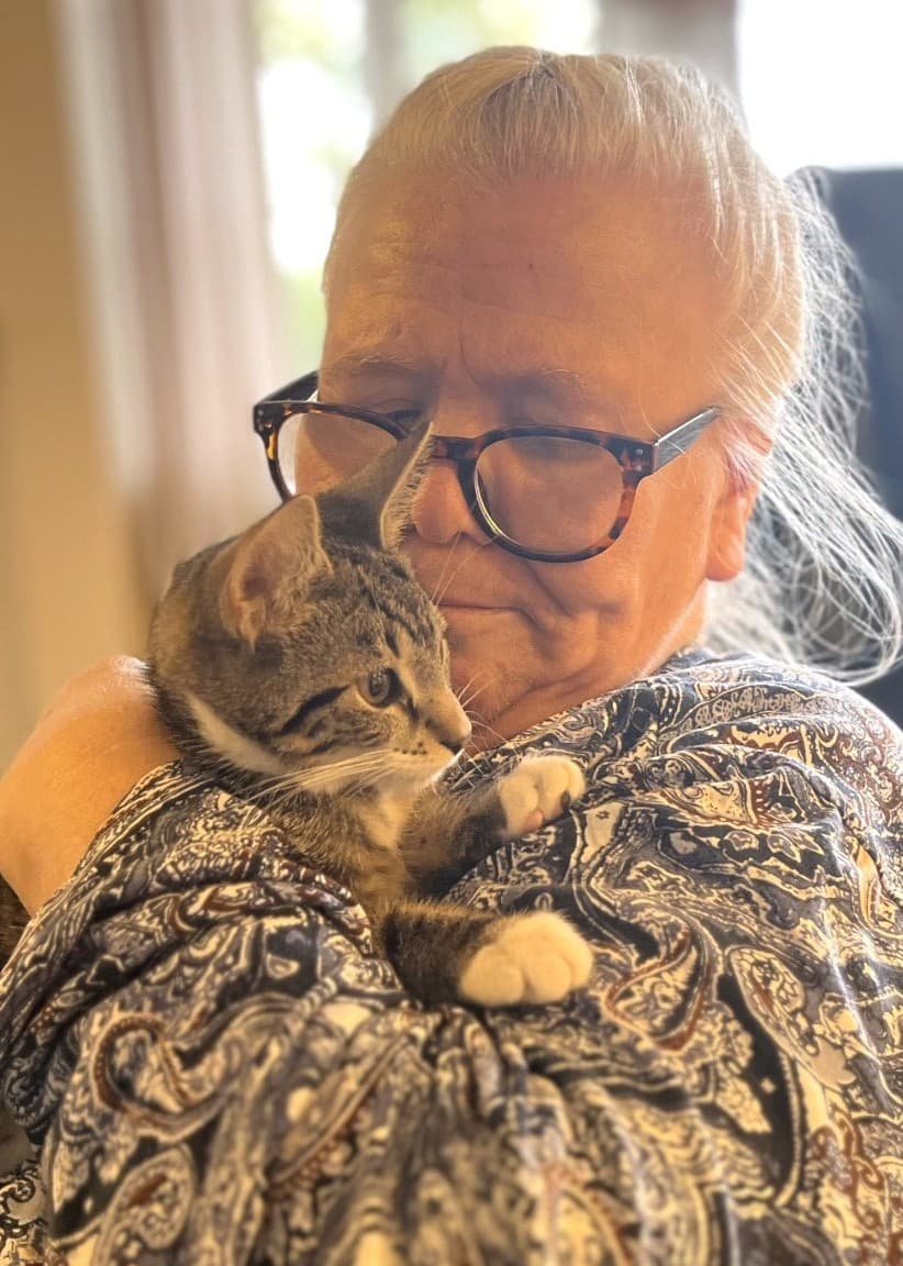 Katarina Pettersson, en kvinna med ljust hår och glasögon, sitter i rullstol och håller en liten kattunge i famnen. Stora fönster släpper in dagsljus bakom henne.