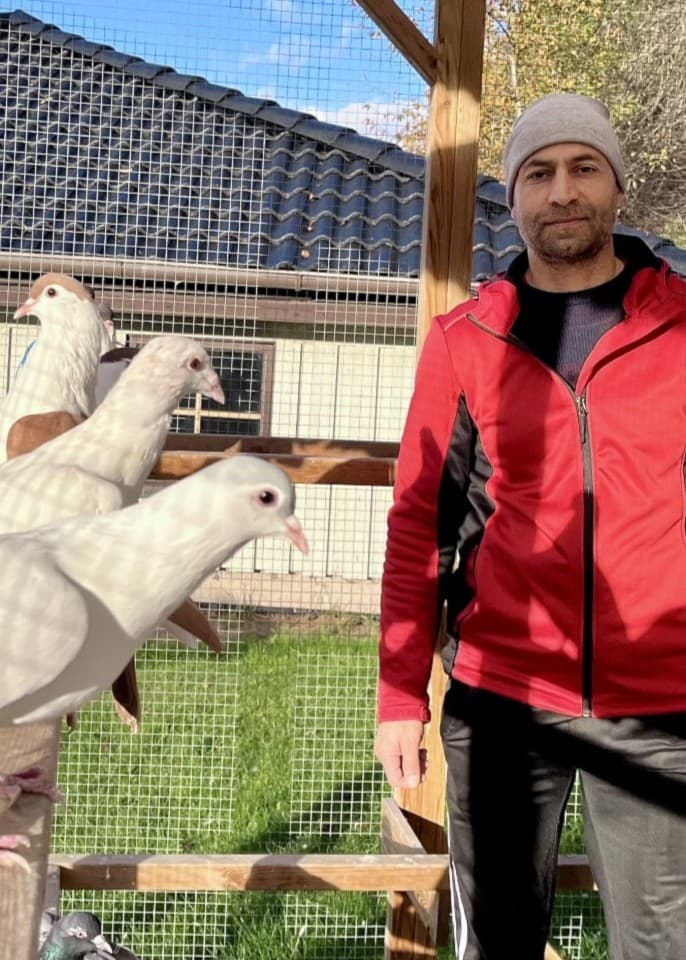 Mirwais Rahimi står i buren tillsammans med hans 32 duvor.
