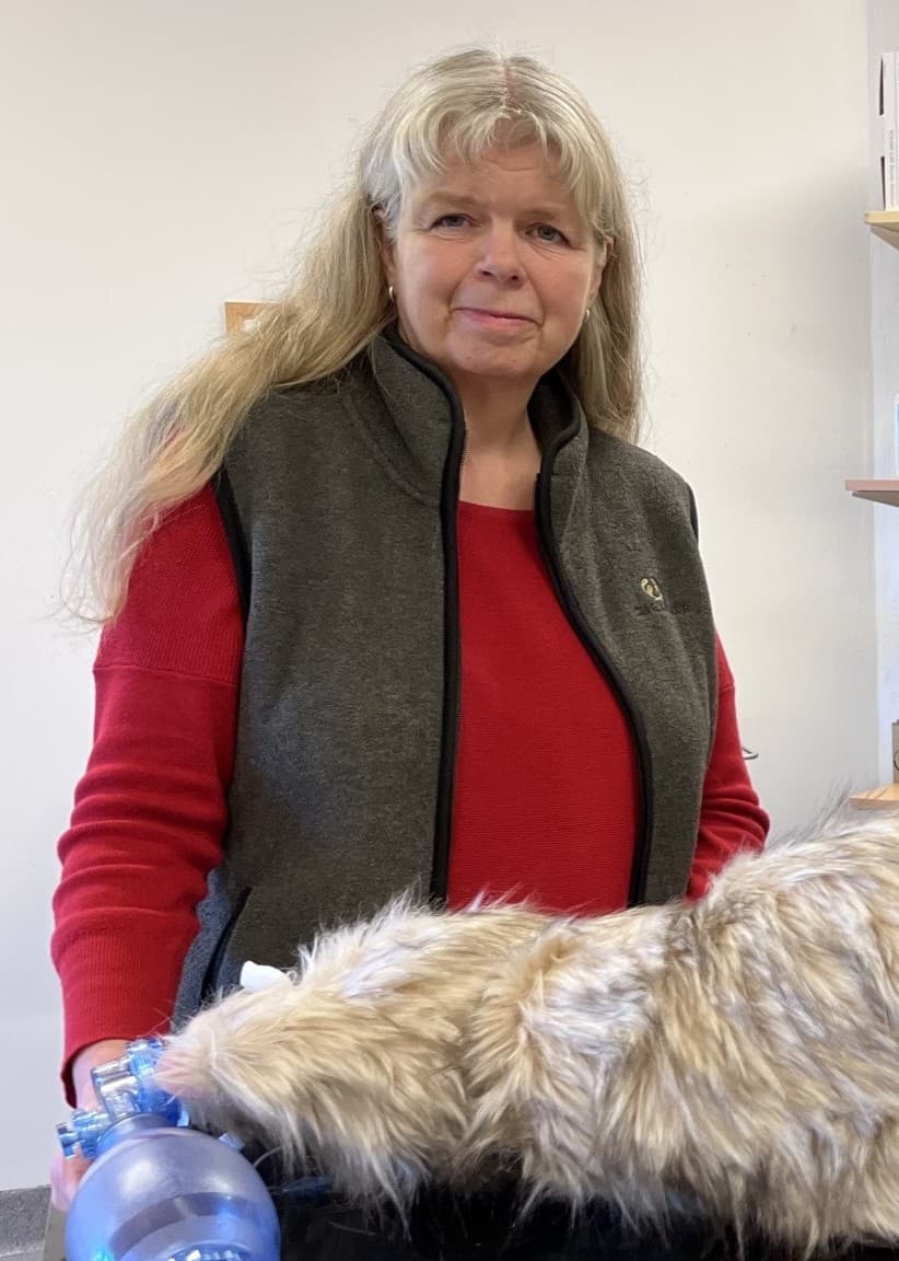 Djurläraren Gunilla Pettersson och eleven Wilma Bengtsson demonstrerar hjärt-lungräddning på en hundattrapp i ett klassrum med veterinärutrustning i bakgrunden.
