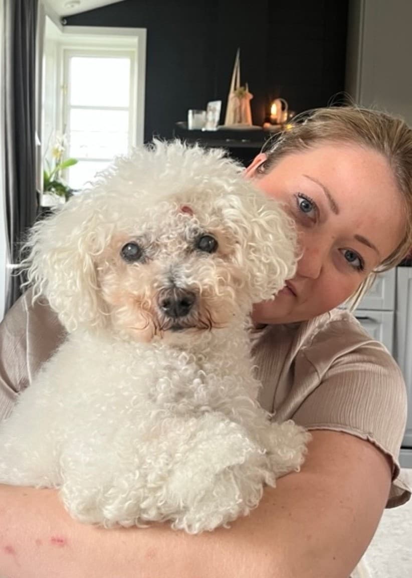 Hunden Axel har diabetes och fick en blodsockermätare på ryggen. Han är en vitlockig liten hund som syns på två bilder, ätande ur en matskål med knappen synlig på ryggen, och sittandes i knät på sin matte  Paulinn Palmgren, en ung kvinna med bakåtstruket hår och beige blus. 