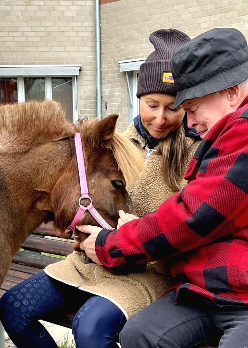 Shetlandsponnyn Rut blir klappad av Matti Virtanen och Maggan Eriksson Bech utanför ett äldreboende.