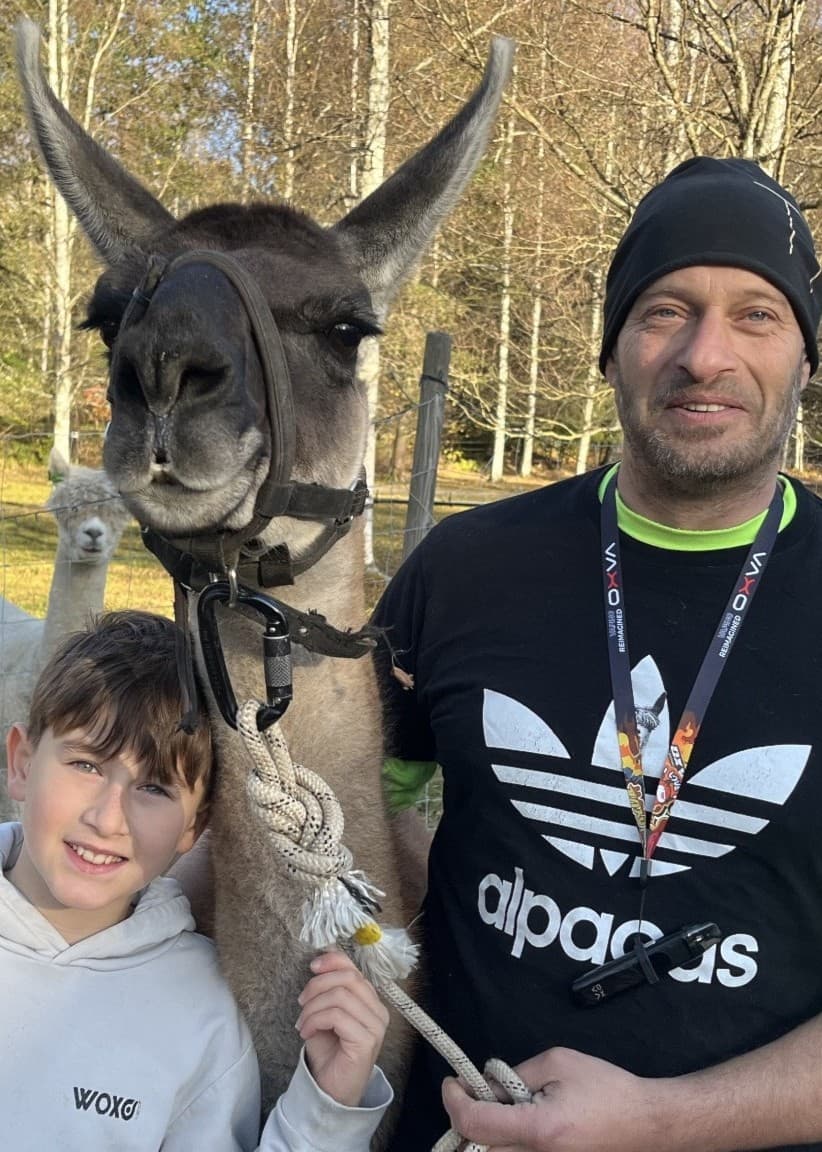 Laman Adrian står nära Oscar och Paul Nicholls.. I bakgrunden syns flera alpackor vid ett stängsel samt höstfärgad natur.