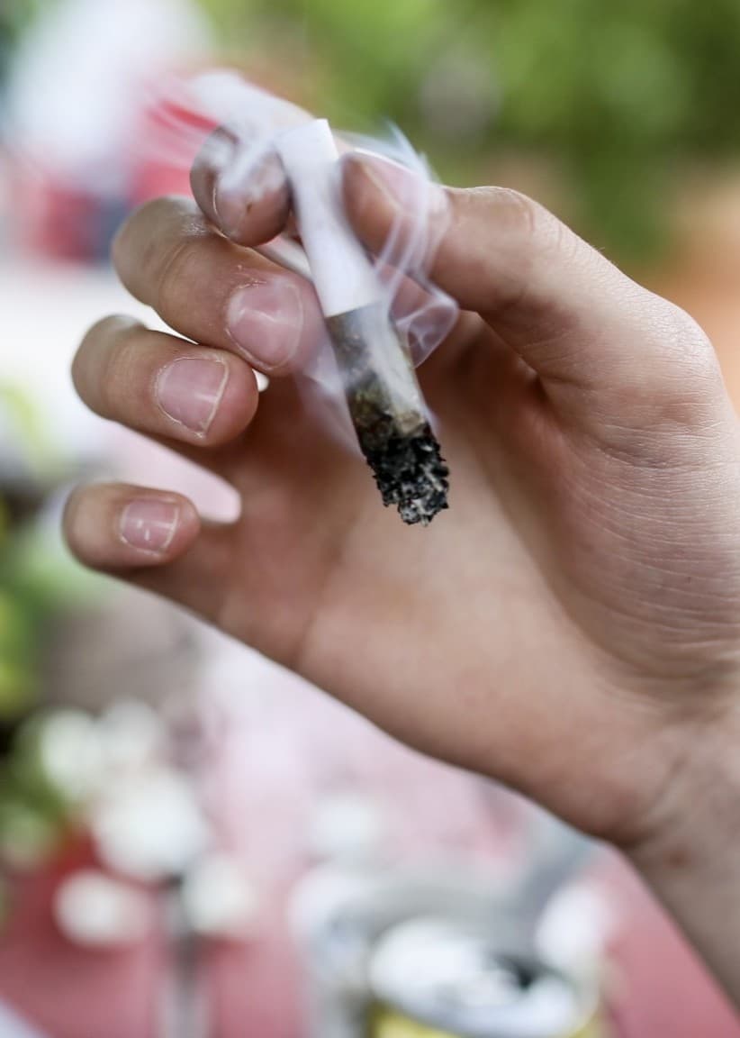 Cannabis, rök. Foto: Helena Landstedt/TT.