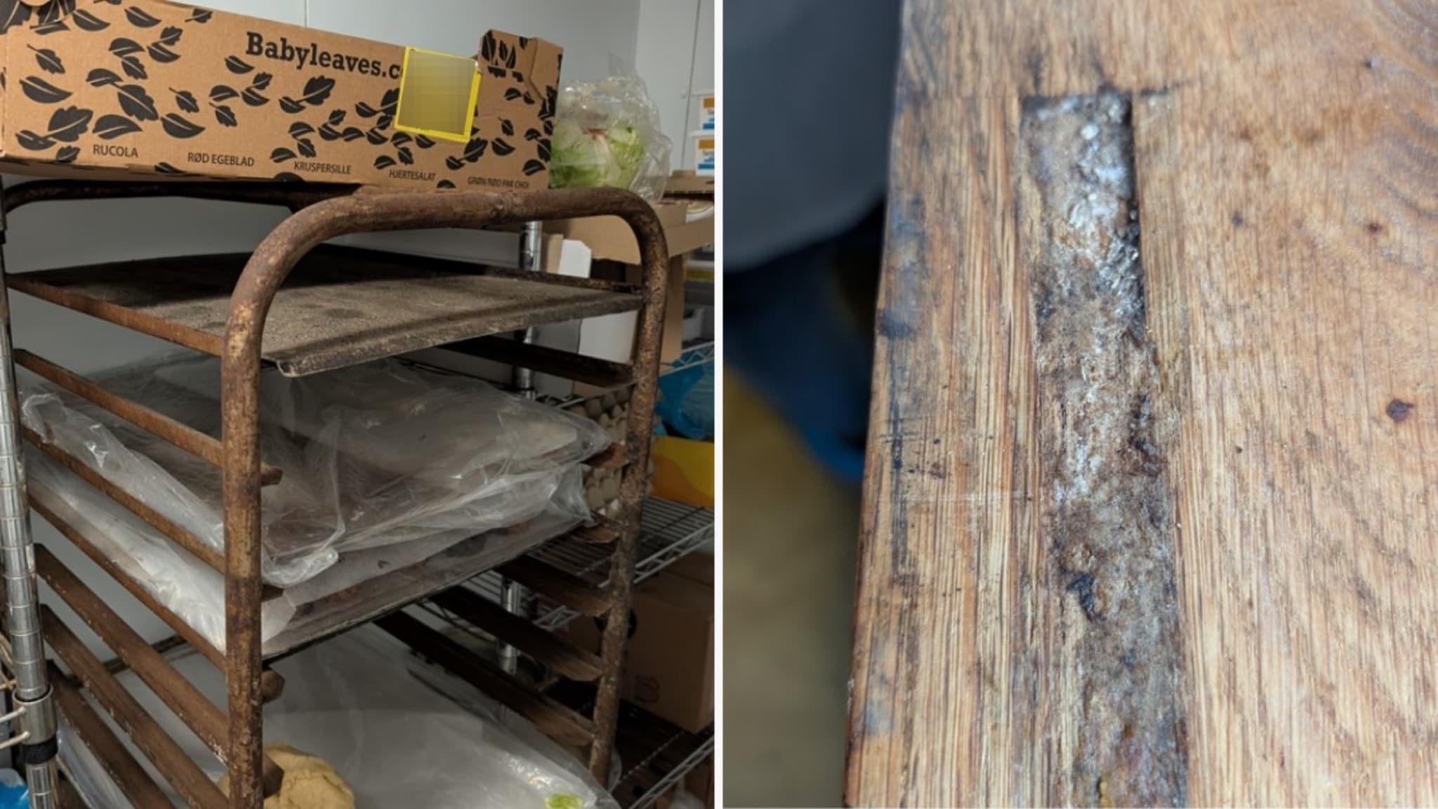 Ett konditori i Ängelholm som tvingats stänga efter flera brister upptäckts.