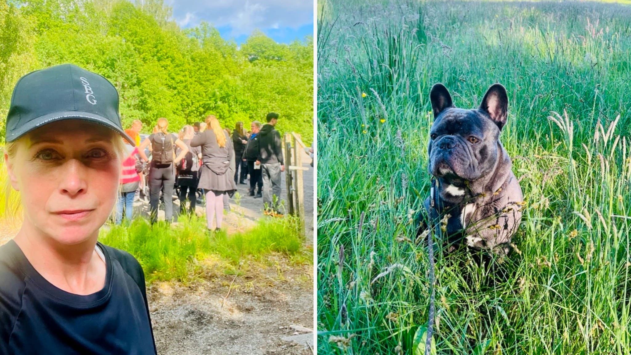 Till vänster syns en grupp människor som går längs en grusväg omgivna av grönska. Till höger syns en svart fransk bulldog stående i högt gräs på en solig äng.