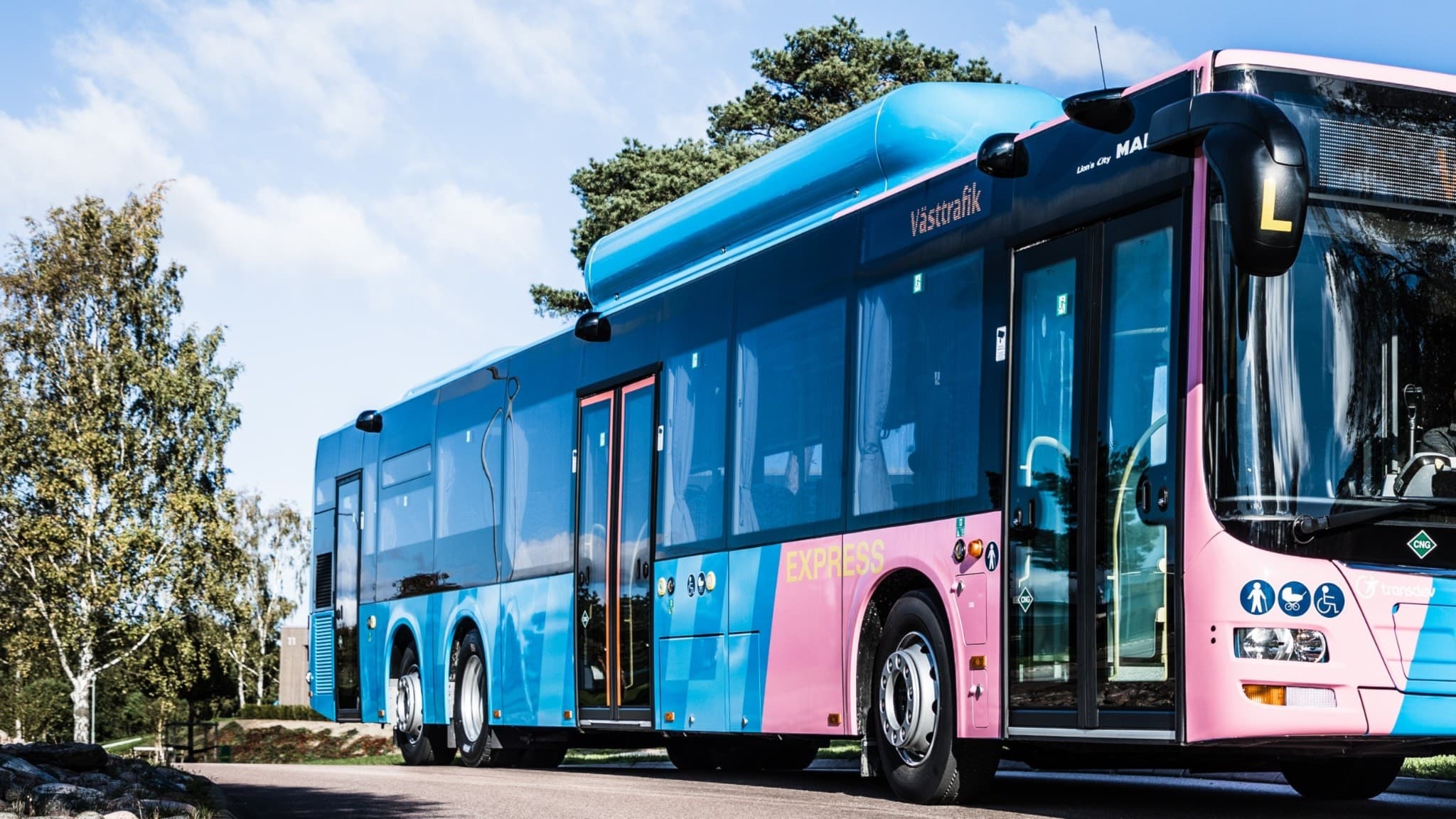 En av västtrafiks bussar syns på gata i soligt väder och med träd bredvid sig.