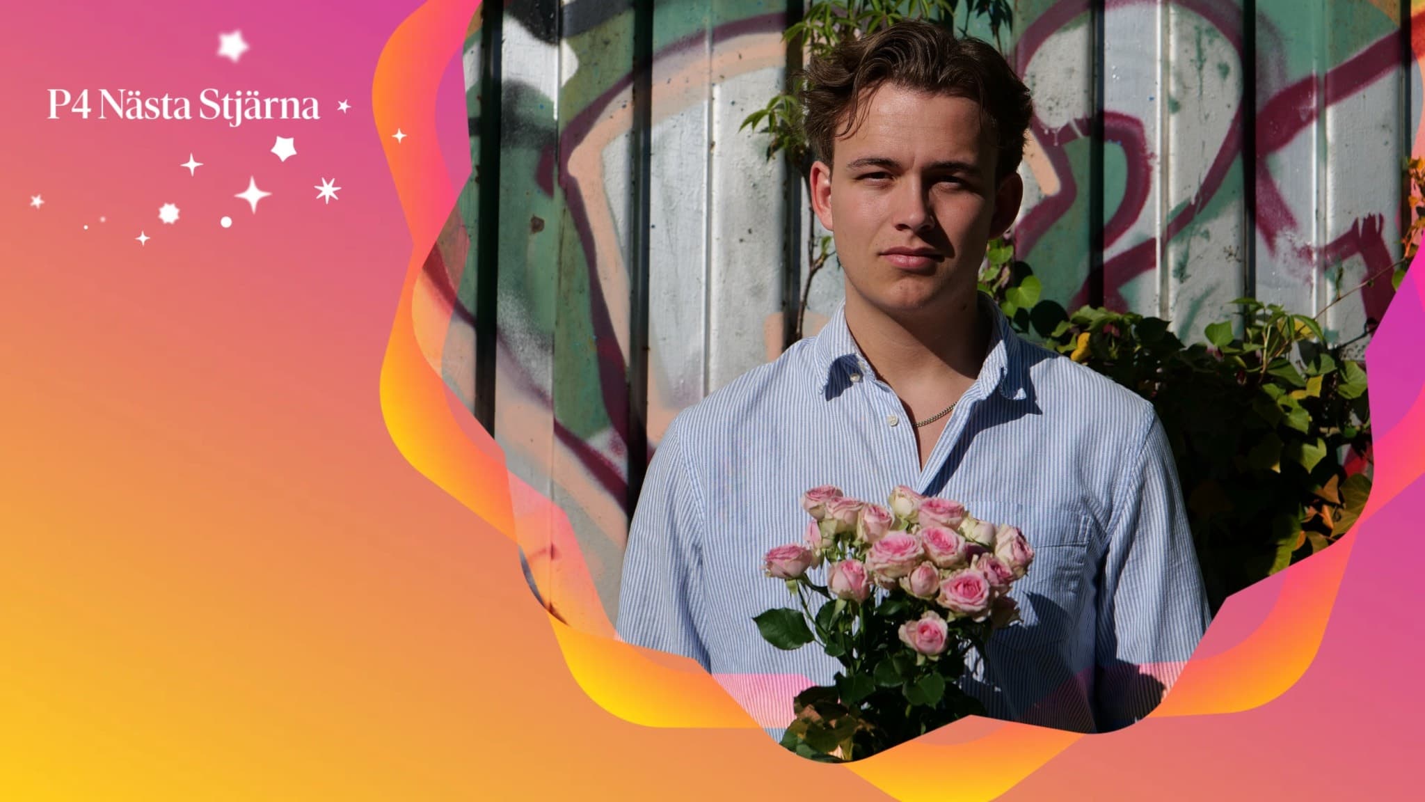Måns Holmgren poserar framför en graffitimålad vägg, hållandes en bukett med ljusrosa blommor. Bilden har färgglada grafiska element och texten 'P4 Nästa Stjärna' i övre vänstra hörnet.