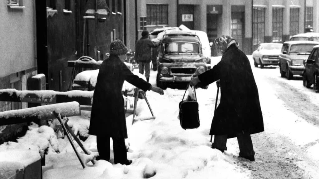 Två personer hjälps åt att bära matkassar i snön
