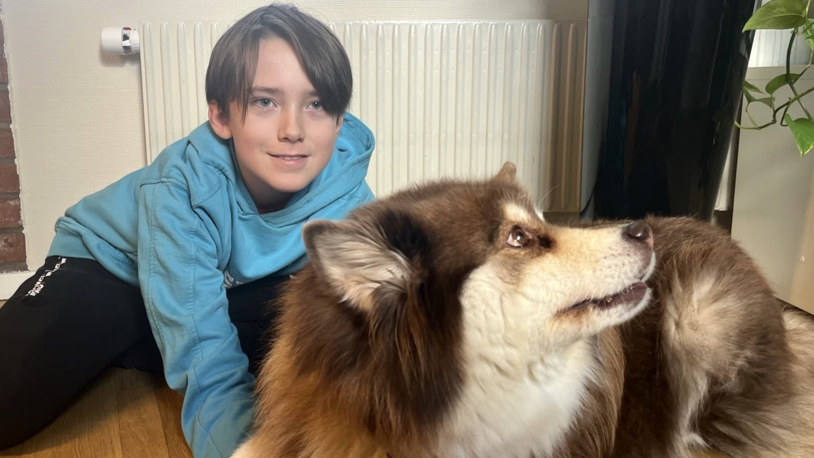 En ung kille med brunt hår och blå hoodie sitter på golvet och håller om en fluffig brunvit hund.