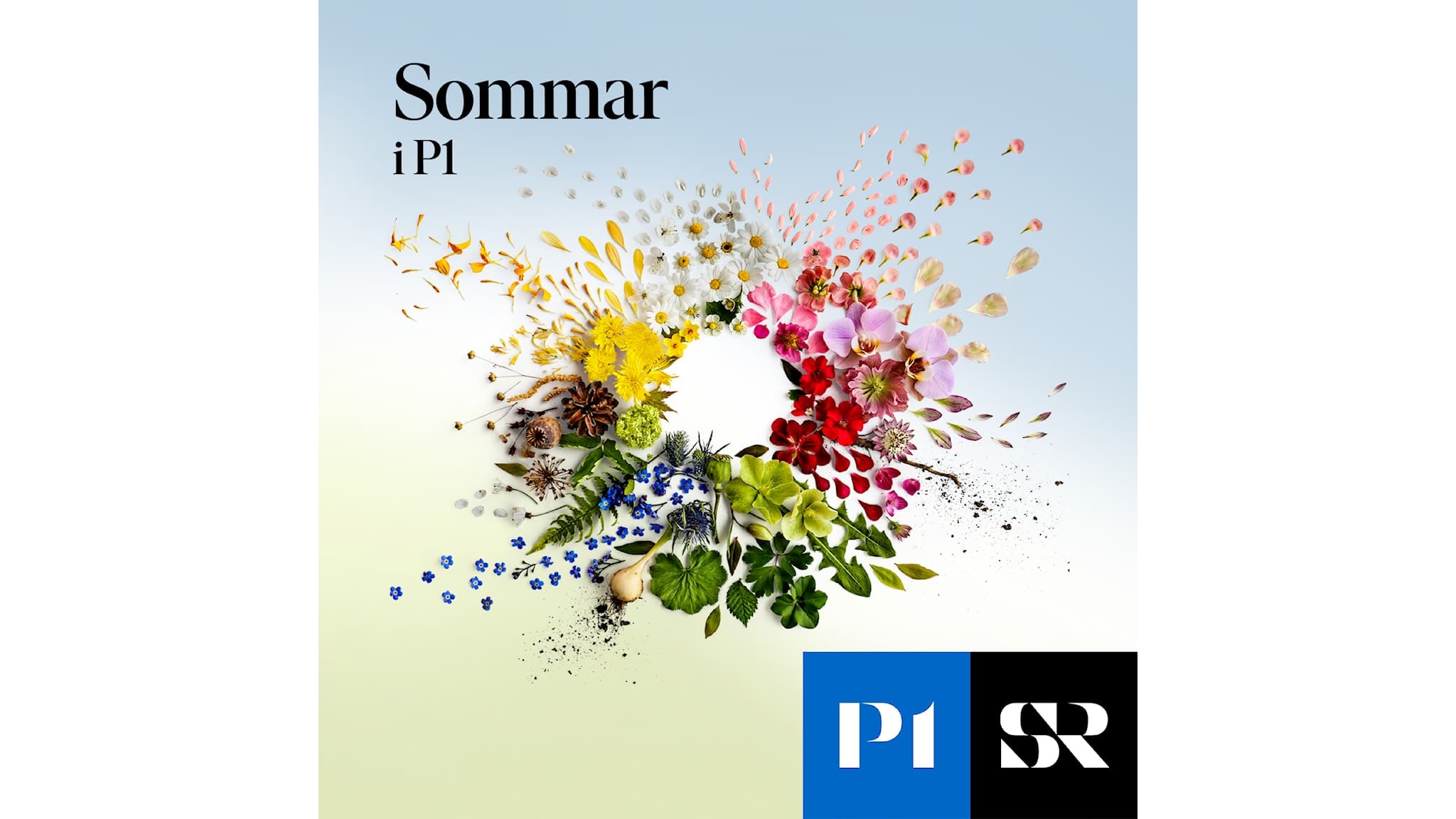 Konvolut för Sommar & Vinter i P1