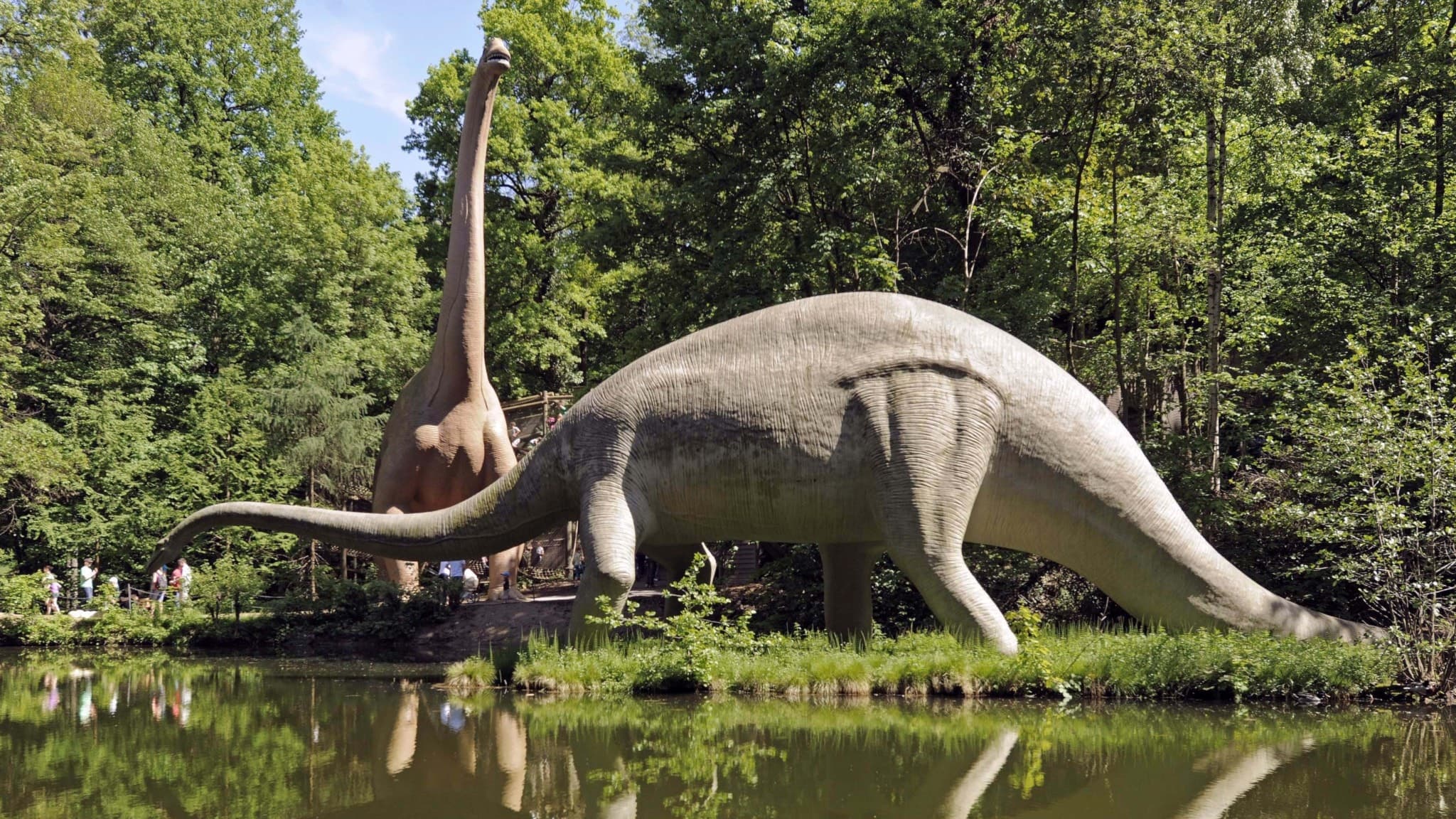 Två realistiska dinosauriemodeller, Brachiosaurus och Diplodocus, står bland träd vid en sjö i Dinosaurieparken i Kleinwelka, Tyskland. Parken visar över 200 skulpturer i naturlig storlek.