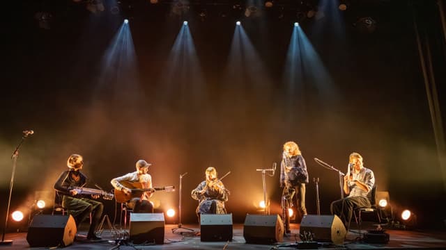 Anna Freiman, Thomas Eriksson, Guro Kvifte Nesheim, Anna Malmström och Jens Linell. 