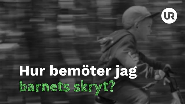 Skryt