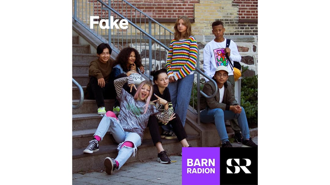 Konvolut för Fake