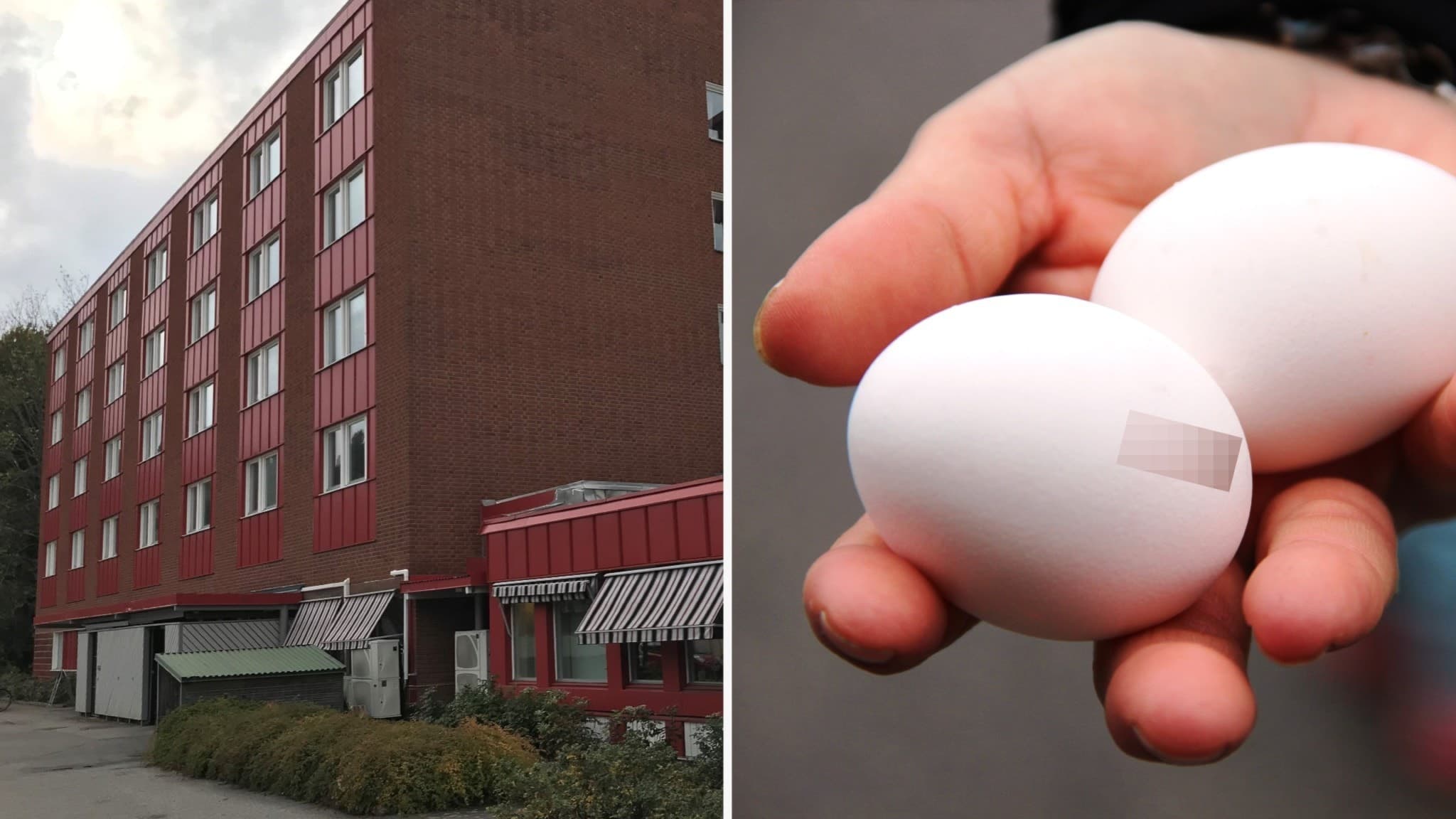 Bild med två delar: till vänster en röd byggnad, till höger en hand som håller två vita ägg, ett med märkning. 
