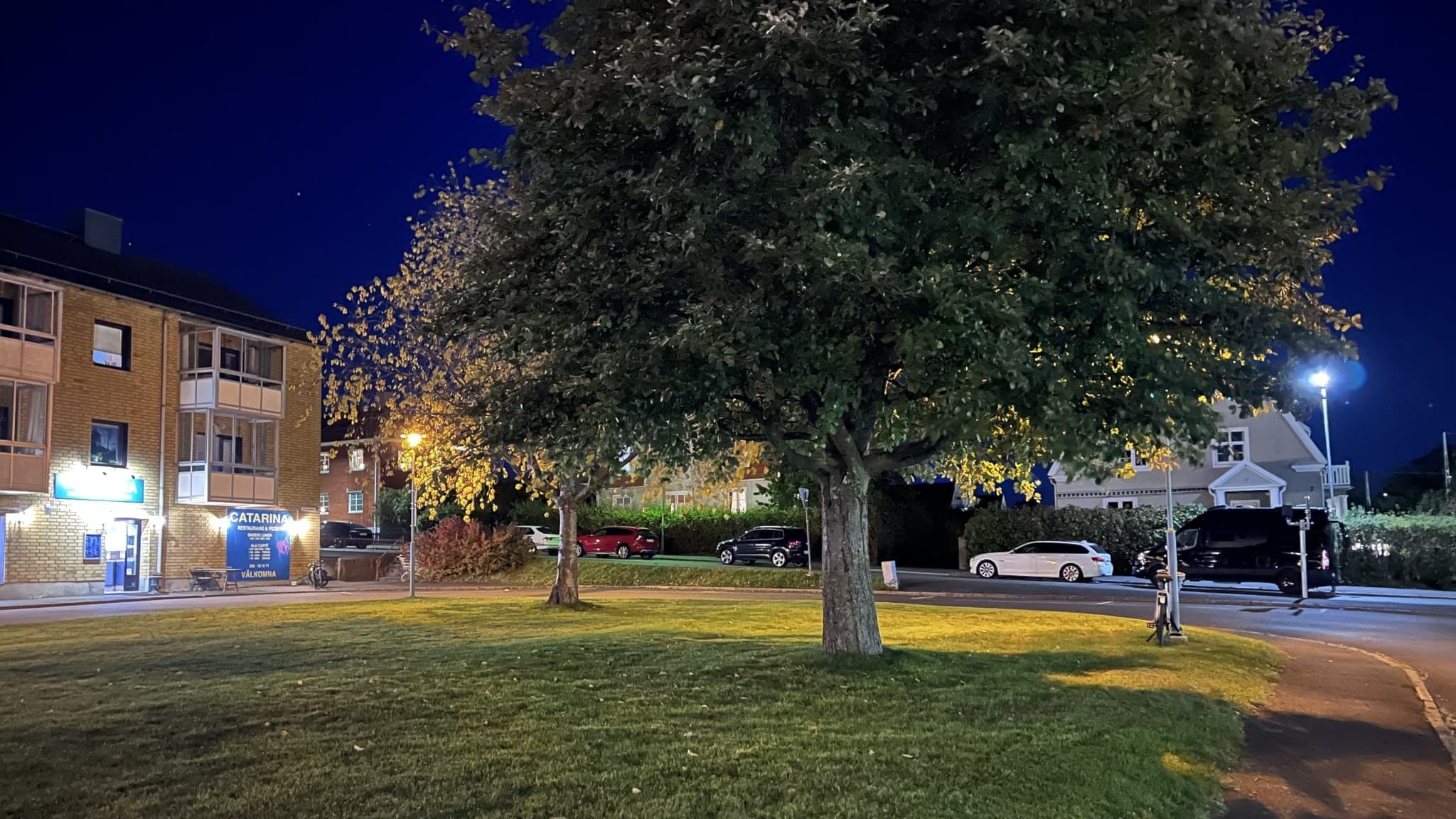 En upplyst park i stadsmiljö med träd dekorerade med ljusslingor. I bakgrunden syns bostadshus, en butik med neonljus och bilar parkerade längs gatan. En person går på gångvägen.