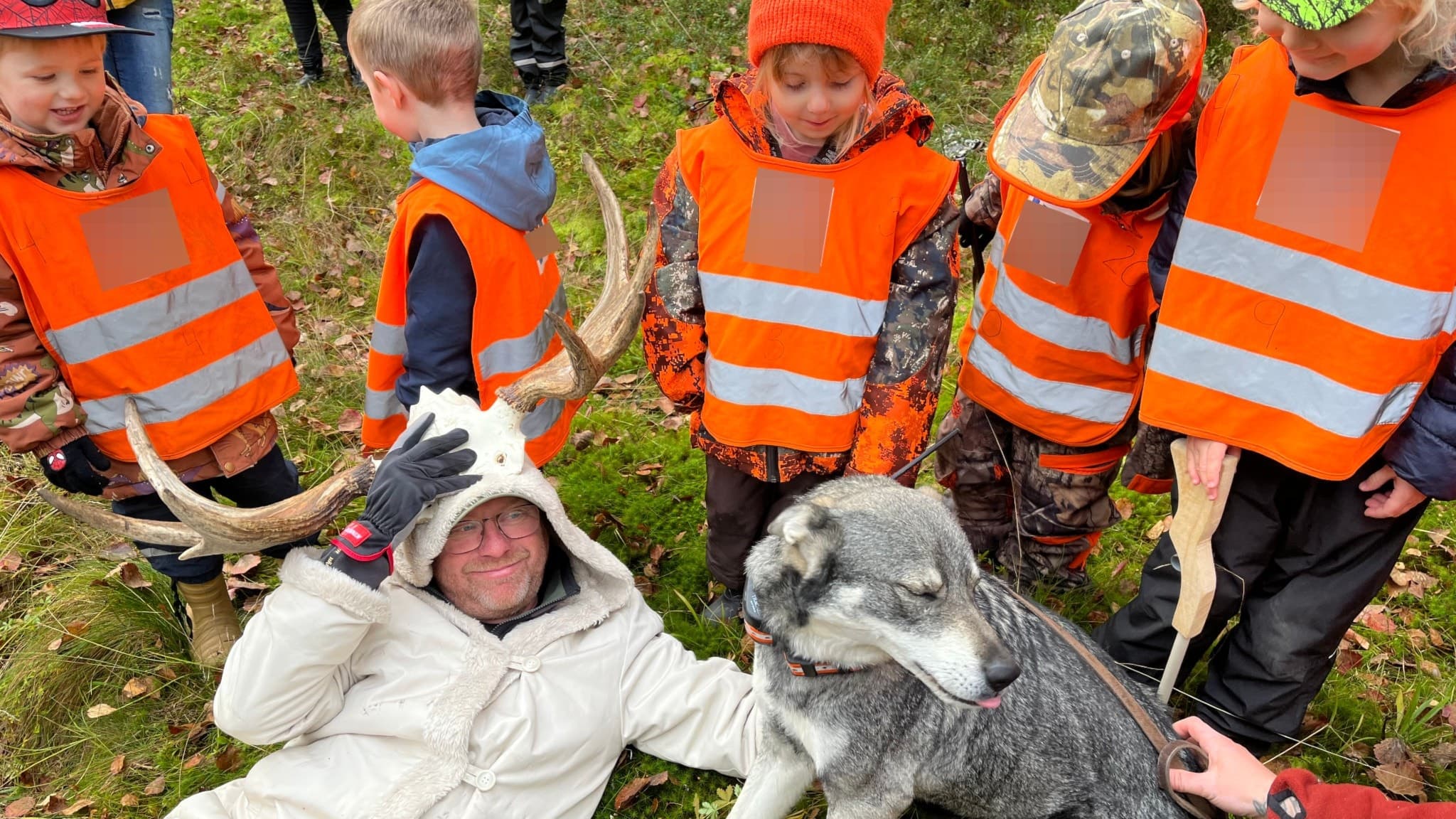 Barn vid förskolan Villekulla i Lesjöfors står i orange reflexvästar och tittar på en vuxen person som visar ett älghorn och en jakthund under en lektion om älgjakt utomhus.