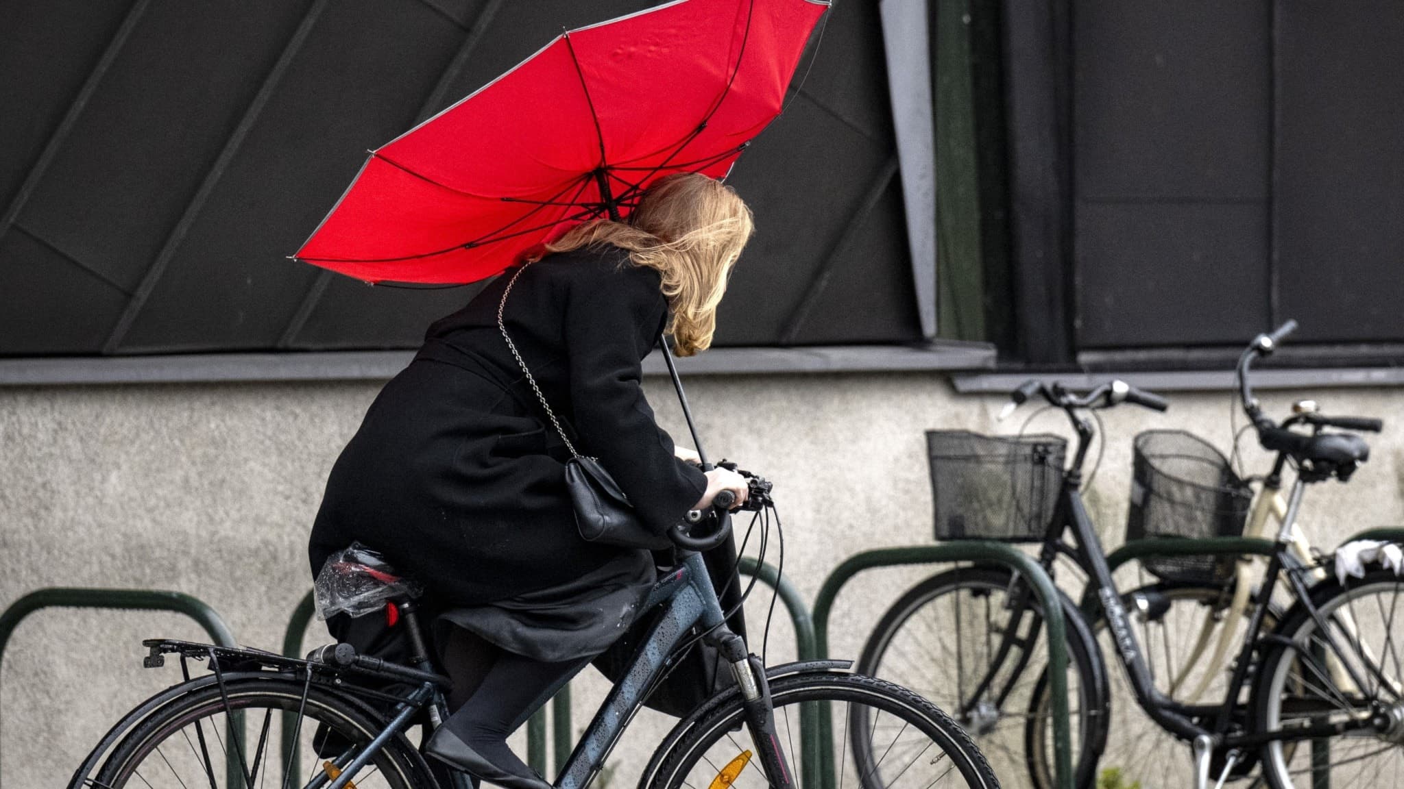 En person på cykel kämpar i höstrusk med hårda vindar i centrala Malmö. Ett rött paraply böjer sig i blåsten medan flera parkerade cyklar står vid en vägg i bakgrunden.