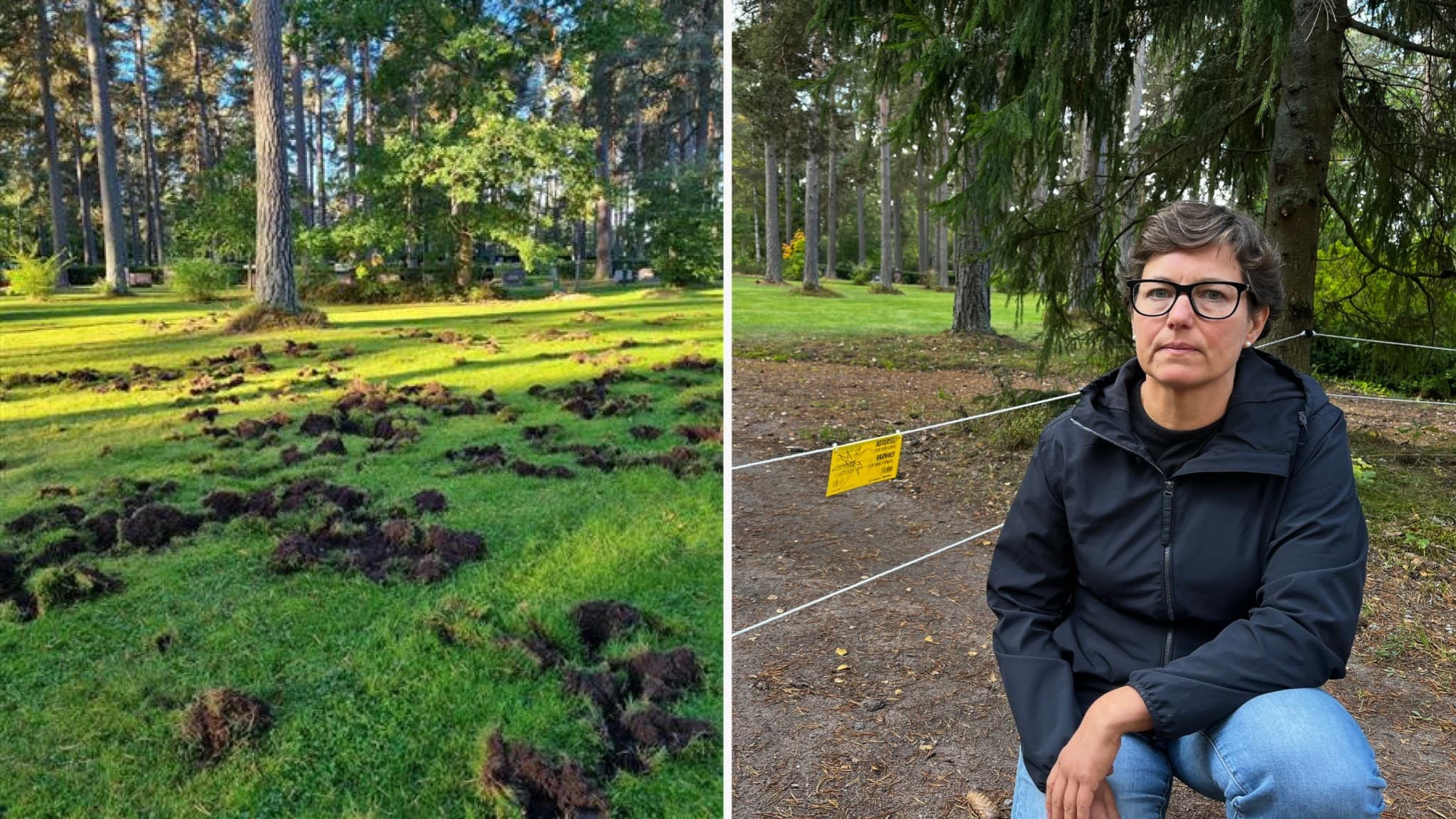 En uppbökad gräsmatta syns bredvid en kvinna som sitter på huk framför ett elstängsel vid en kyrkogård med många träd och buskar.