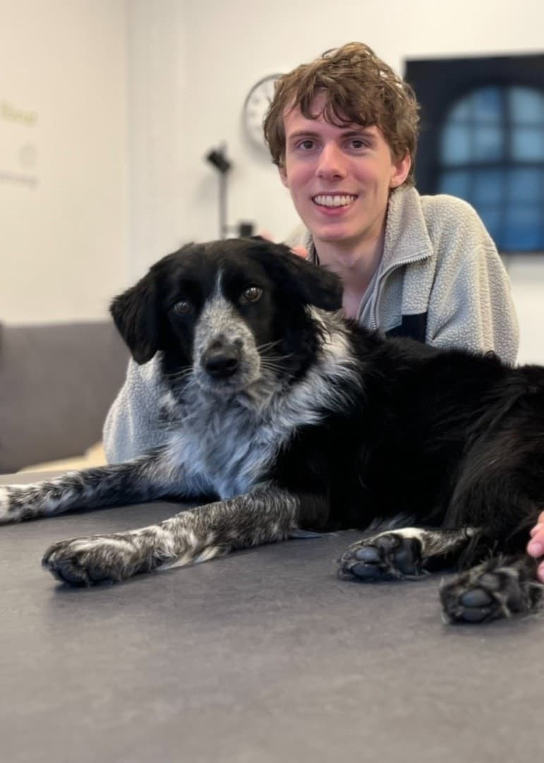 Skolhunden Dot, en svart och vit hund, ligger avslappnat på ett bord med två personer vid sidan om henne i en ljus inomhusmiljö.