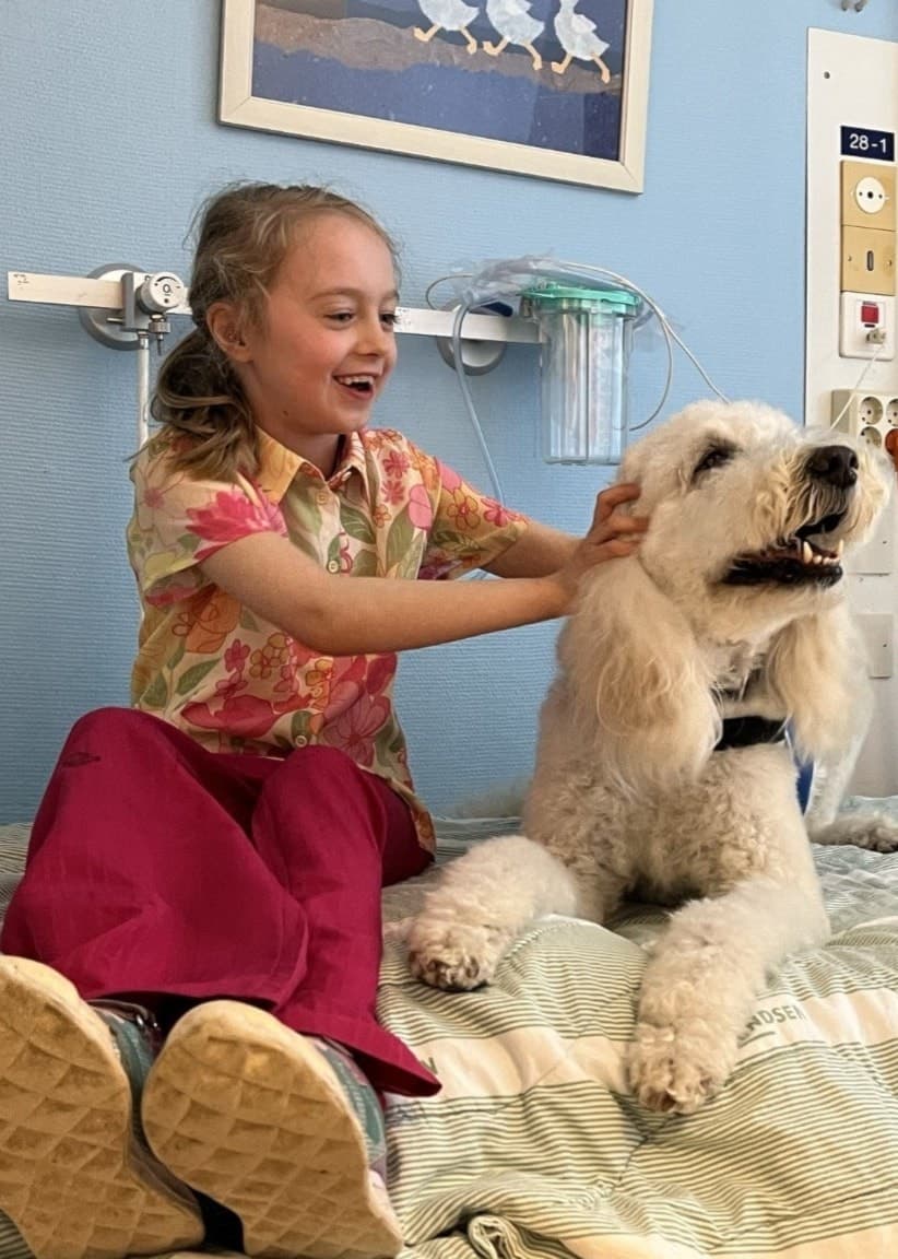 Ett barn sitter på en sjukhussäng och klappar sjukhushunden Luna, en vit labradoodle, som hjälper sjuka barn på sjukhusen i Gävle och Hudiksvall. Rummet är inrett med ljusblå väggar och dekorationer.