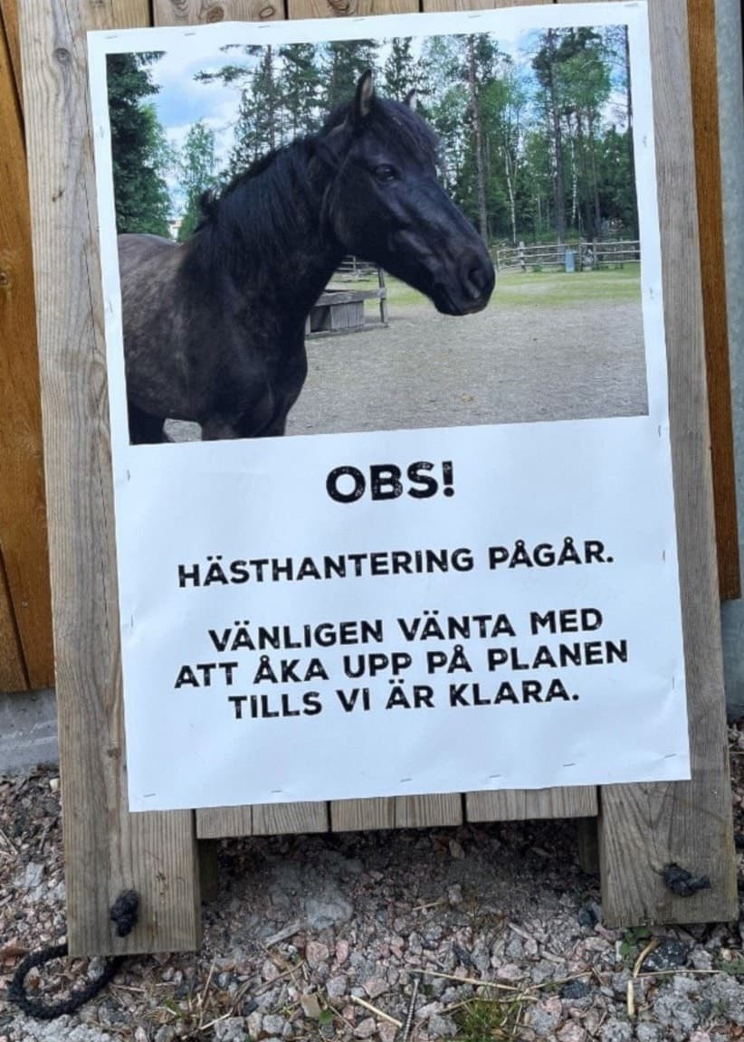 En skylt som varnar för hästhantering. Lejon i Borås djurpark äter mat.