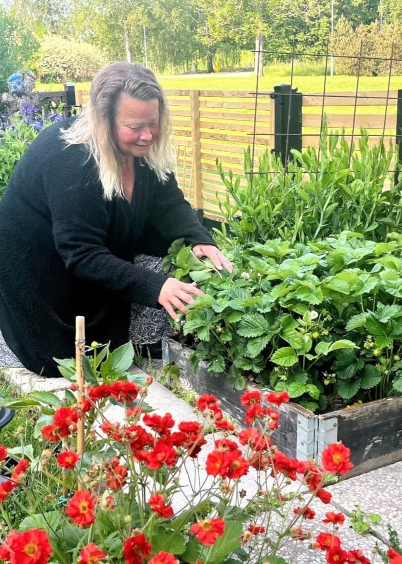 Blommor, jordgubbar och mycket annat växer i Ewas trädgård. 