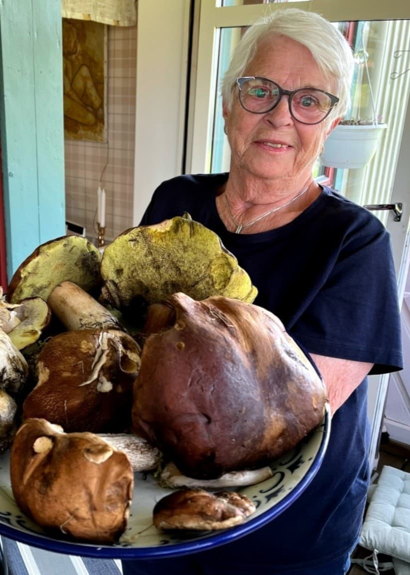 Lena Hansson från Liared visar upp en stor bricka med minst fem kilo nyplockad svamp, inklusive stora och varierande sorter, i ett inglasat uterum.