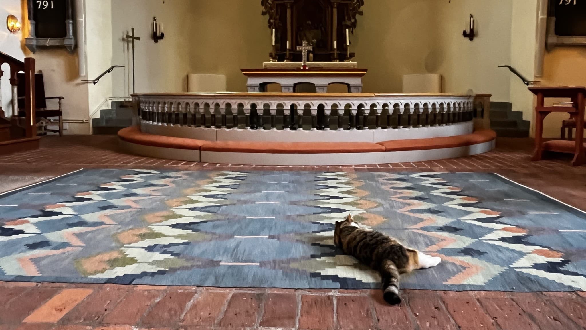 Katten Luna ligger på en stor matta framför koret i kyrkan i Harplinge. Foto: Kristin Holmberg/Sveriges Radio
