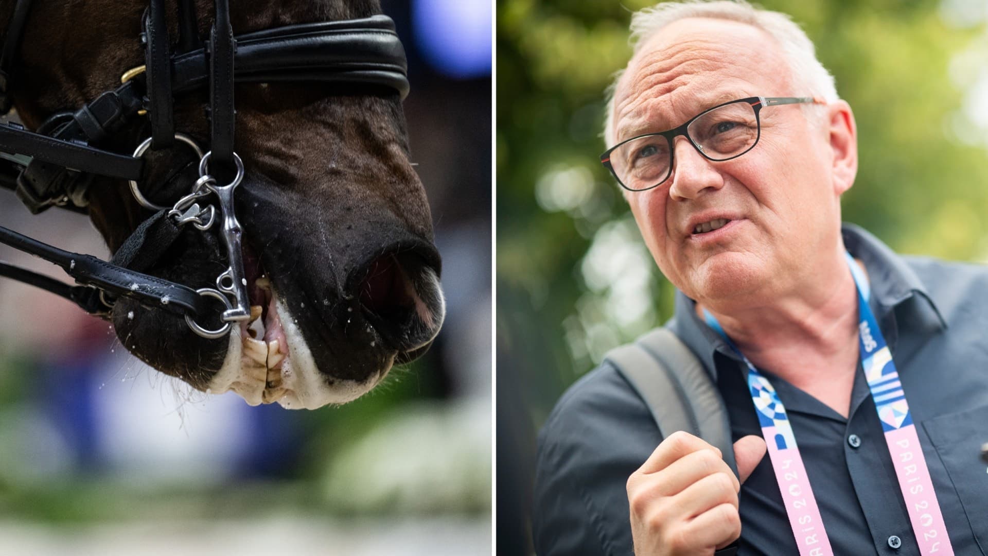Närbild av en häst med träns under en dressyrtävling, bredvid en man i blå skjorta med pressackreditering och ryggsäck. Hästens detaljer är i fokus medan mannens ansikte är suddat.